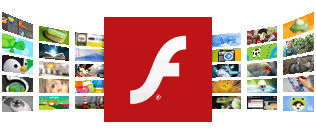 Adobe Flash Software